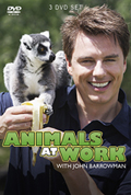 Animals at Work DVD cover